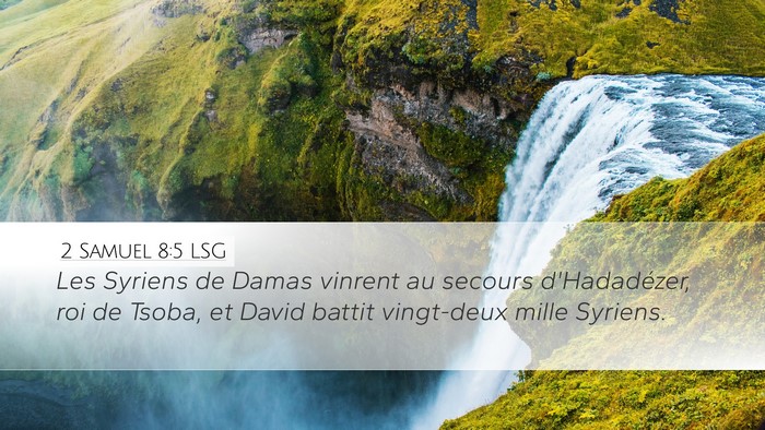 2 Samuel 8:5 LSG Desktop Wallpaper - Les Syriens de Damas vinrent au secours - Desktop Bible Verse Wallpaper