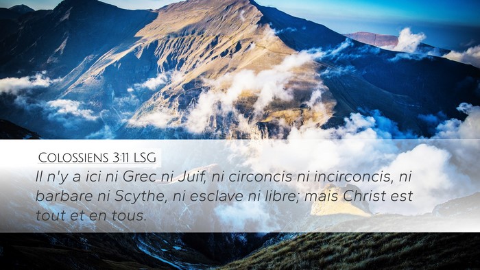 Colossiens 3:11 LSG Desktop Wallpaper - Il n'y a ici ni Grec ni Juif, ni circoncis ni - Desktop Bible Verse Wallpaper