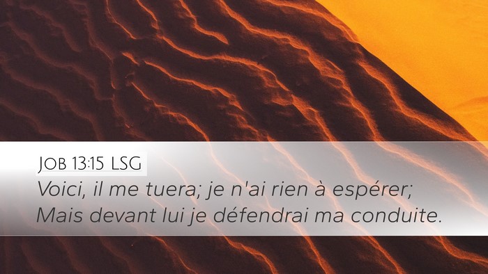 Job 13:15 LSG Desktop Wallpaper - Voici, il me tuera; je n'ai rien à espérer; - Desktop Bible Verse Wallpaper