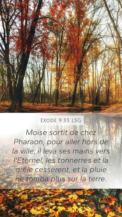 Exode 9:33 LSG Mobile Phone Wallpaper - Moïse sortit de chez Pharaon, pour aller hors de - Mobile Bible Verse Wallpaper