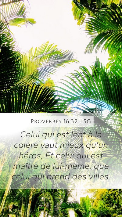 Proverbes 16:32 LSG Mobile Phone Wallpaper - Celui qui est lent à la colère vaut mieux qu'un - Mobile Bible Verse Wallpaper