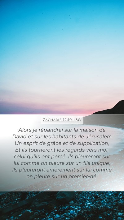 Zacharie 12:10 LSG Mobile Phone Wallpaper - Alors je répandrai sur la maison de David et sur - Mobile Bible Verse Wallpaper