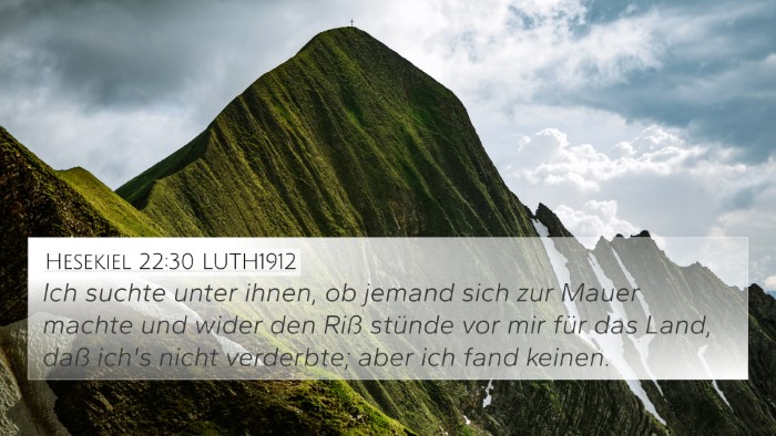 Hesekiel 22:30 LUTH1912 Bible Verse Image