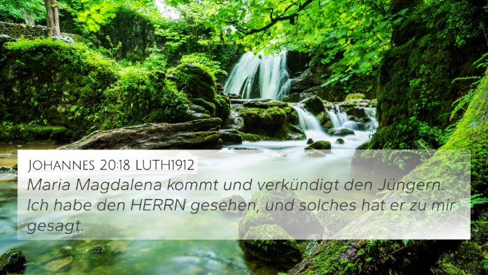 Johannes 20:18 LUTH1912 4K Wallpaper - Maria Magdalena kommt und verkündigt den - 4K Wallpaper Bible Verse