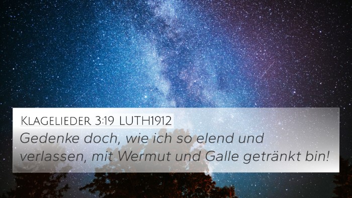 Klagelieder 3:19 LUTH1912 Bible Verse Image