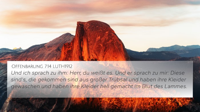 Offenbarung 7:14 LUTH1912 4K Wallpaper - Und ich sprach zu ihm: Herr, du weißt es. Und er - 4K Wallpaper Bible Verse