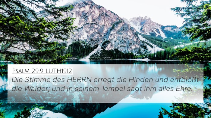 Psalm 29:9 LUTH1912 4K Wallpaper - Die Stimme des HERRN erregt die Hinden und - 4K Wallpaper Bible Verse