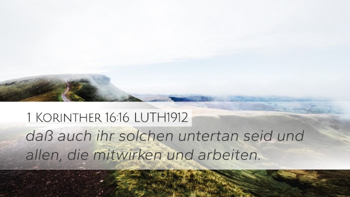 1 Korinther 16:16 LUTH1912 Desktop Wallpaper - daß auch ihr solchen untertan seid und allen, - Desktop Bible Verse Wallpaper