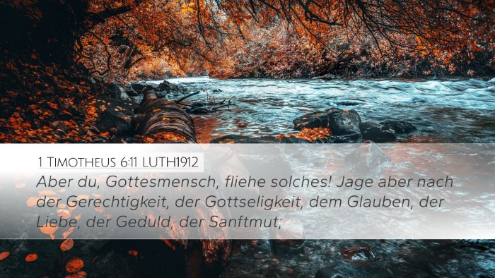 1 Timotheus 6:11 LUTH1912 Desktop Wallpaper - Aber du, Gottesmensch, fliehe solches! Jage aber - Desktop Bible Verse Wallpaper