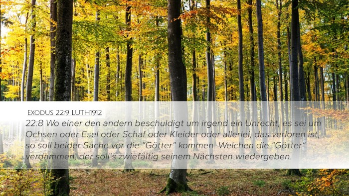 Exodus 22:9 LUTH1912 Desktop Wallpaper - 22:8 Wo einer den andern beschuldigt um irgend - Desktop Bible Verse Wallpaper