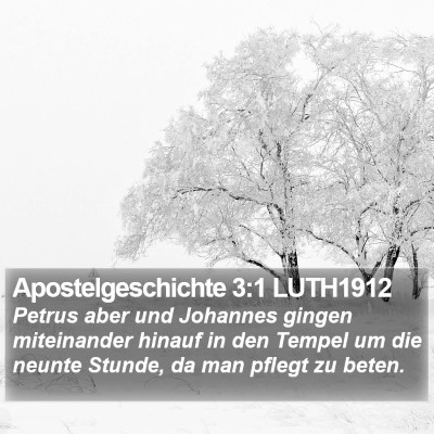 Apostelgeschichte 3:1 LUTH1912 Bible Verse Image