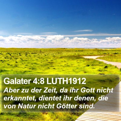 Galater 4:8 LUTH1912 Bible Verse Image