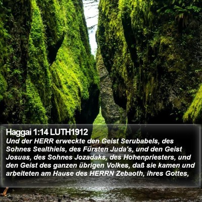 Haggai 1:14 LUTH1912 Bible Verse Image