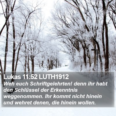 Lukas 11:52 LUTH1912 Bible Verse Image