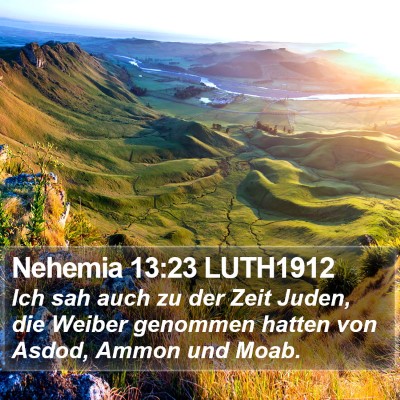 Nehemia 13:23 LUTH1912 Bible Verse Image