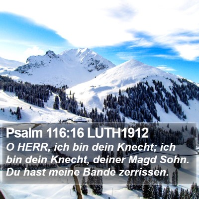 Psalm 116:16 LUTH1912 Bible Verse Image