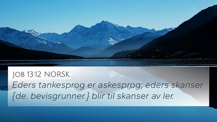 Job 13:12 NORSK Bible Verse Image