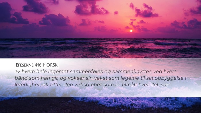 Efeserne 4:16 NORSK Desktop Wallpaper - av hvem hele legemet sammenføies og - Desktop Bible Verse Wallpaper