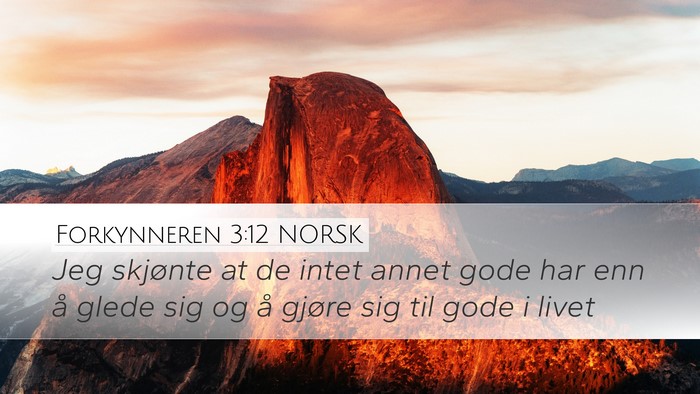 Forkynneren 3:12 NORSK Desktop Wallpaper - Jeg skjønte at de intet annet gode har enn å - Desktop Bible Verse Wallpaper