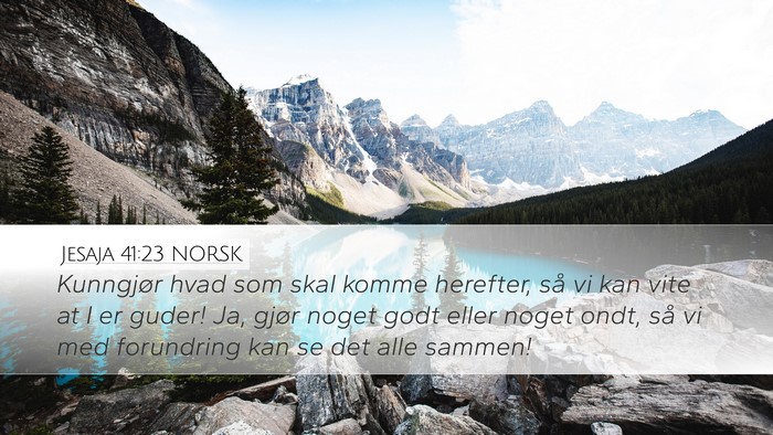 Jesaja 41:23 NORSK Desktop Wallpaper - Kunngjør hvad som skal komme herefter, så vi - Desktop Bible Verse Wallpaper