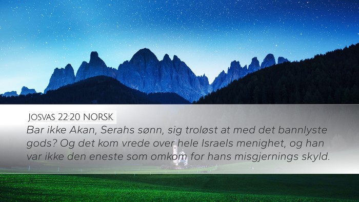 Josvas 22:20 NORSK Bible Verse Image