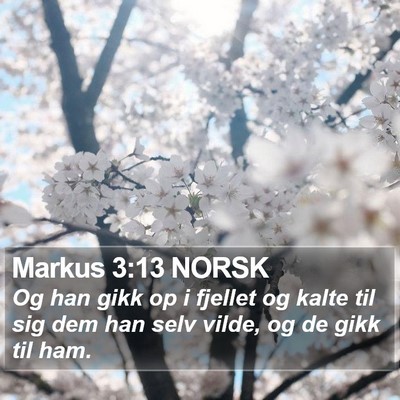 Markus 3:13 NORSK Bible Verse Image