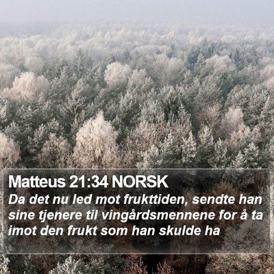 Matteus 21:34 NORSK Bible Verse Image