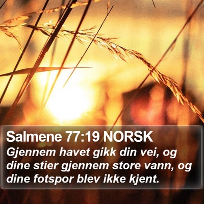 Salmene 77:19 NORSK Bible Verse Image