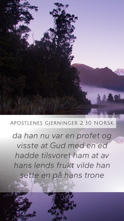 Apostlenes gjerninger 2:30 NORSK Mobile Phone Wallpaper - da han nu var en profet og visste at Gud med en - Mobile Bible Verse Wallpaper