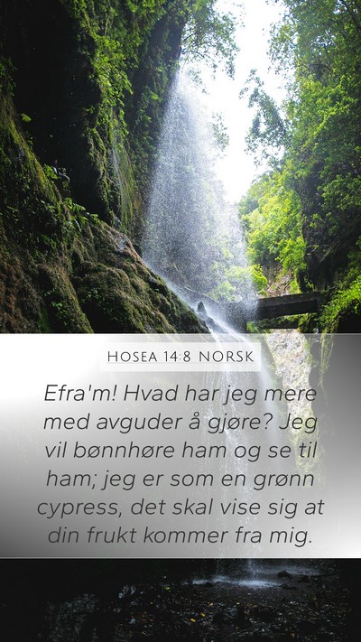 Hosea 14:8 NORSK Mobile Phone Wallpaper - Efra'm! Hvad har jeg mere med avguder å gjøre? - Mobile Bible Verse Wallpaper