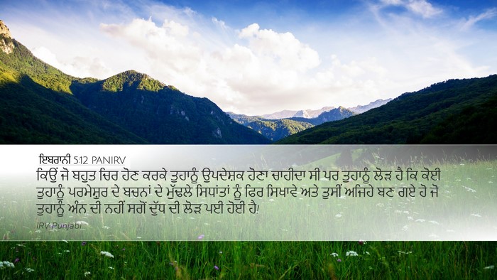 ਇਬਰਾਨੀ 5:12 PANIRV Desktop Wallpaper - ਕਿਉਂ ਜੋ ਬਹੁਤ ਚਿਰ - Desktop Bible Verse Wallpaper