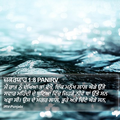 ਜ਼ਕਰਯਾਹ 1:8 PANIRV Bible Verse Image