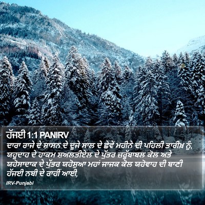 ਹੱਜਈ 1:1 PANIRV Bible Verse Image