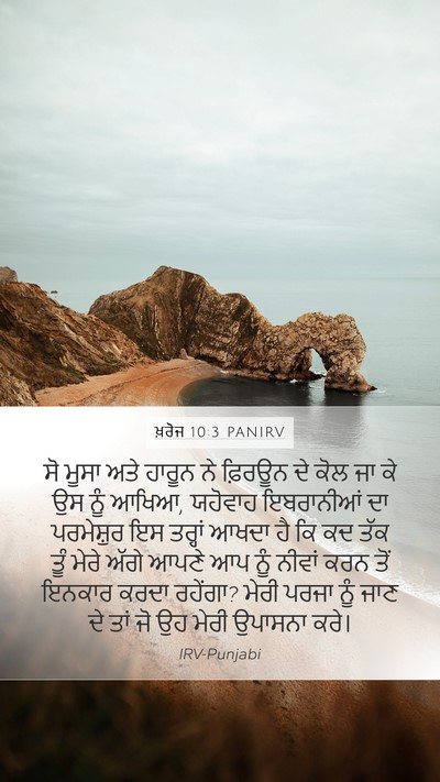 ਖ਼ਰੋਜ 10:3 PANIRV Mobile Phone Wallpaper - ਸੋ ਮੂਸਾ ਅਤੇ ਹਾਰੂਨ - Mobile Bible Verse Wallpaper