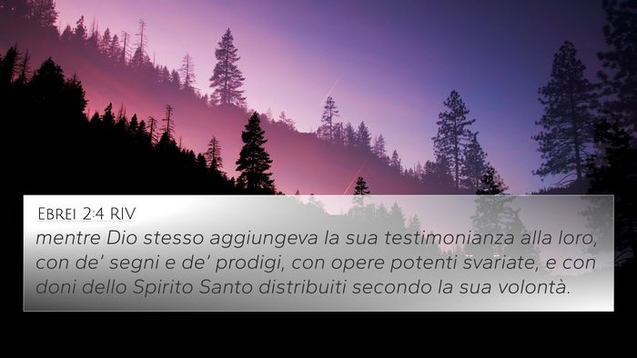 Ebrei 2:4 RIV 4K Wallpaper - mentre Dio stesso aggiungeva la sua testimonianza - 4K Wallpaper Bible Verse