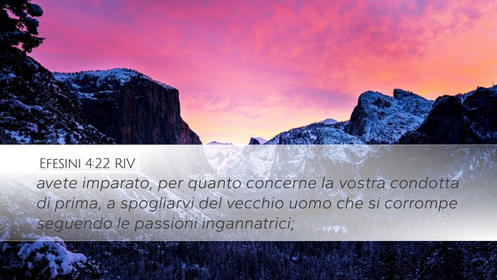 Efesini 4:22 RIV Desktop Wallpaper - avete imparato, per quanto concerne la vostra - Desktop Bible Verse Wallpaper