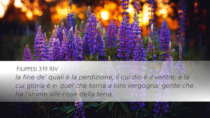 Filippesi 3:19 RIV Desktop Wallpaper - la fine de’ quali è la perdizione, il cui dio - Desktop Bible Verse Wallpaper