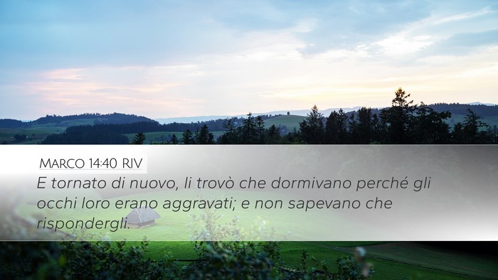 Marco 14:40 RIV Desktop Wallpaper - E tornato di nuovo, li trovò che dormivano - Desktop Bible Verse Wallpaper