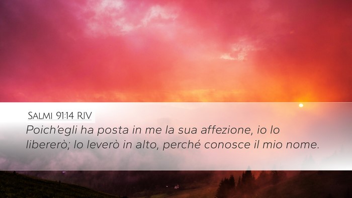 Salmi 91:14 RIV Desktop Wallpaper - Poich’egli ha posta in me la sua affezione, io - Desktop Bible Verse Wallpaper