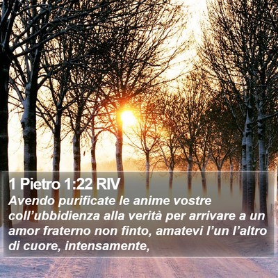 1 Pietro 1:22 RIV Bible Verse Image