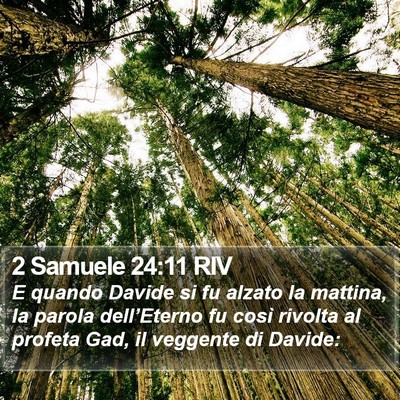 2 Samuele 24:11 RIV Bible Verse Image