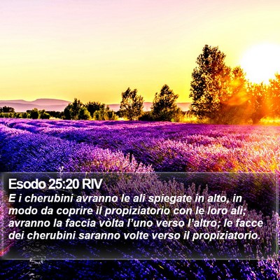 Esodo 25:20 RIV Bible Verse Image