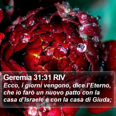 Geremia 31:31 RIV Bible Verse Image