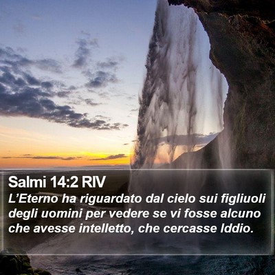 Salmi 14:2 RIV Bible Verse Image