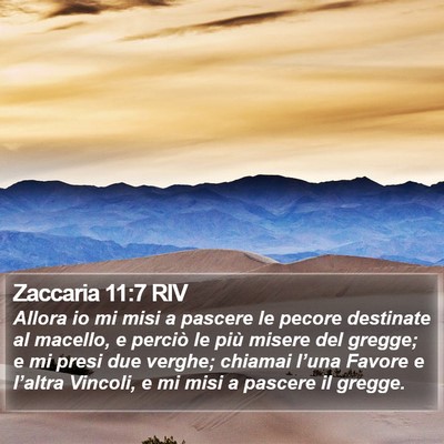 Zaccaria 11:7 RIV Bible Verse Image