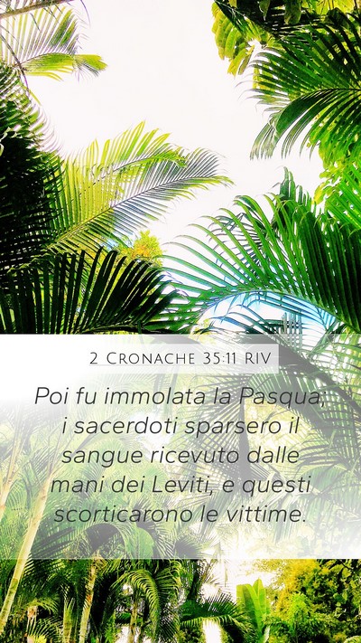 2 Cronache 35:11 RIV Bible Verse Image