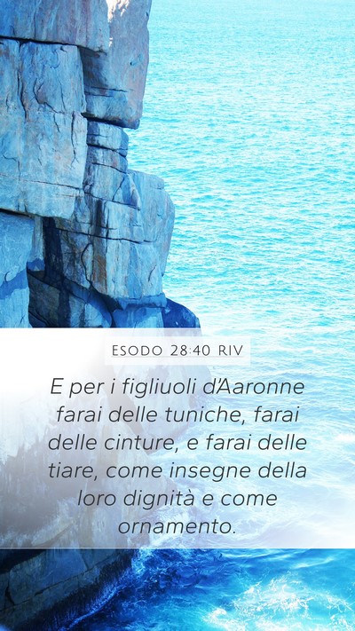 Esodo 28:40 RIV Mobile Phone Wallpaper - E per i figliuoli d’Aaronne farai delle - Mobile Bible Verse Wallpaper