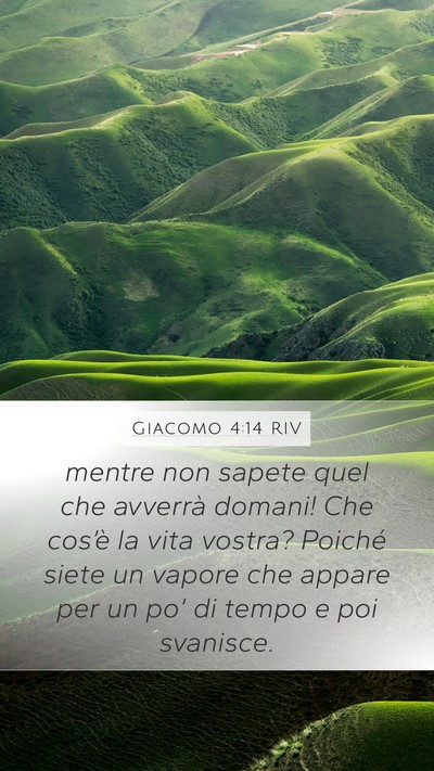 Giacomo 4:14 RIV Mobile Phone Wallpaper - mentre non sapete quel che avverrà domani! Che - Mobile Bible Verse Wallpaper