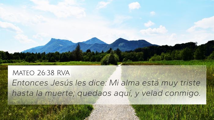 Mateo 26:38 RVA 4K Wallpaper - Entonces Jesús les dice: Mi alma está muy - 4K Wallpaper Bible Verse