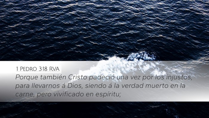 1 Pedro 3:18 RVA Desktop Wallpaper - Porque también Cristo padeció una vez por los - Desktop Bible Verse Wallpaper